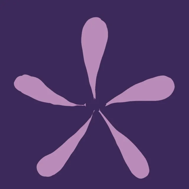 A shape stretching in five directions